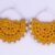 Small_orange